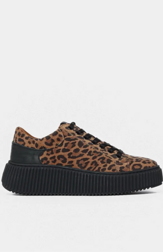 Court sneaker - leopard