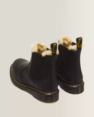 2976 Leonore